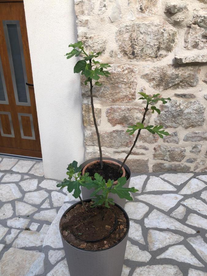 Apartament Old Town Mare